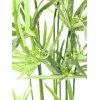 EUROPALMS Ciberpapiro artificial, 76 cm, en maceta negra 82600138