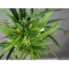 EUROPALMS Ciberpapiro artificial, 76 cm, en maceta negra 82600138