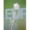 EUROPALMS Crystal Rose flor artificial, transparente, 81 cm, pack de 12 pack ahorro 82600210