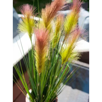 EUROPALMS hierba de las pampas artificial, rosa, 90 cm 82505865