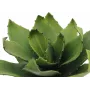 EUROPALMS agave artificial, EVA, verde, 35 cm 82530576