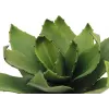 EUROPALMS agave artificial, EVA, verde, 35 cm 82530576