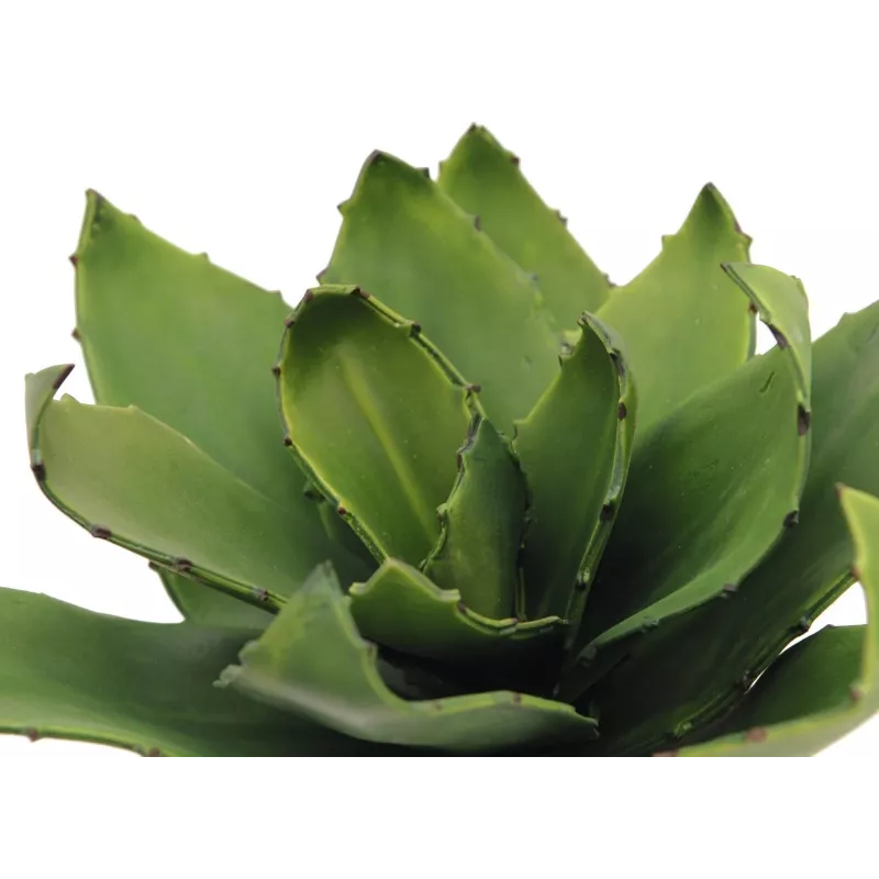 EUROPALMS agave artificial, EVA, verde, 35 cm 82530576