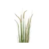 EUROPALMS hierba de las pampas artificial, 120 cm 82600121