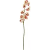 EUROPALMS Rama artificial de cymbidium, crema-rosa, 90cm 82530311