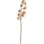 EUROPALMS Rama artificial de cymbidium, crema-rosa, 90cm 82530311