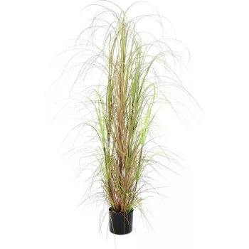 EUROPALMS Mata de hierba artificial, 150cm, verde, decoración de interior 82600127