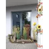 EUROPALMS Mata de hierba artificial, 150cm, verde, decoración de interior 82600127