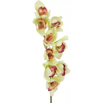 EUROPALMS Rama artificial de orquídea cymbidium, verde, 90cm 82530313