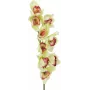 EUROPALMS Rama artificial de orquídea cymbidium, verde, 90cm 82530313