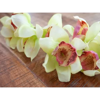 EUROPALMS Rama artificial de orquídea cymbidium, verde, 90cm 82530313