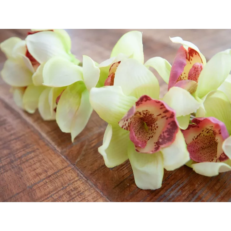 EUROPALMS Rama artificial de orquídea cymbidium, verde, 90cm 82530313