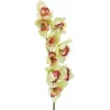 EUROPALMS Rama artificial de orquídea cymbidium, verde, 90cm 82530313