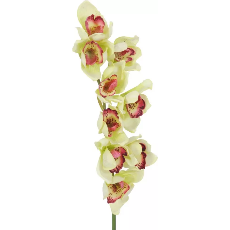 EUROPALMS Rama artificial de orquídea cymbidium, verde, 90cm 82530313