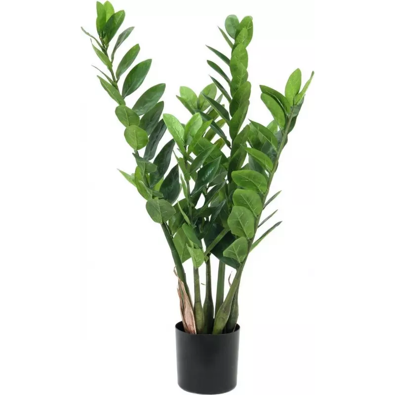 EUROPALMS Zamifolia Planta artificial ZZ, 70 cm, maceta negra 82600153