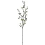 EUROPALMS Rama artificial de alerce, PE, 100 cm 83500418