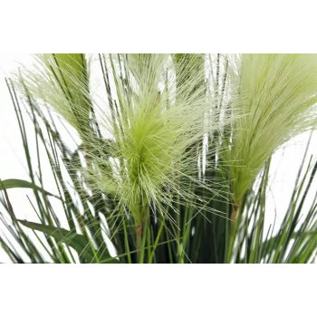 EUROPALMS Planta artificial de hierba plumosa, blanca, 60cm 82505864