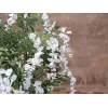 EUROPALMS Árbol de lluvia dorada artificial, flores blancas, 180cm 82507106