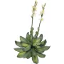 EUROPALMS Rosa de piedra (EVA) planta artificial, amarillo, 32 cm 82530573