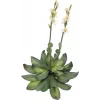 EUROPALMS Rosa de piedra (EVA) planta artificial, amarillo, 32 cm 82530573