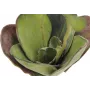 EUROPALMS Nenúfar artificial (EVA), cerrado, verde, 45 cm 82530575