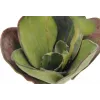 EUROPALMS Nenúfar artificial (EVA), cerrado, verde, 45 cm 82530575