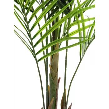 EUROPALMS Planta artificial areca de hoja grande, 165 cm 82509441