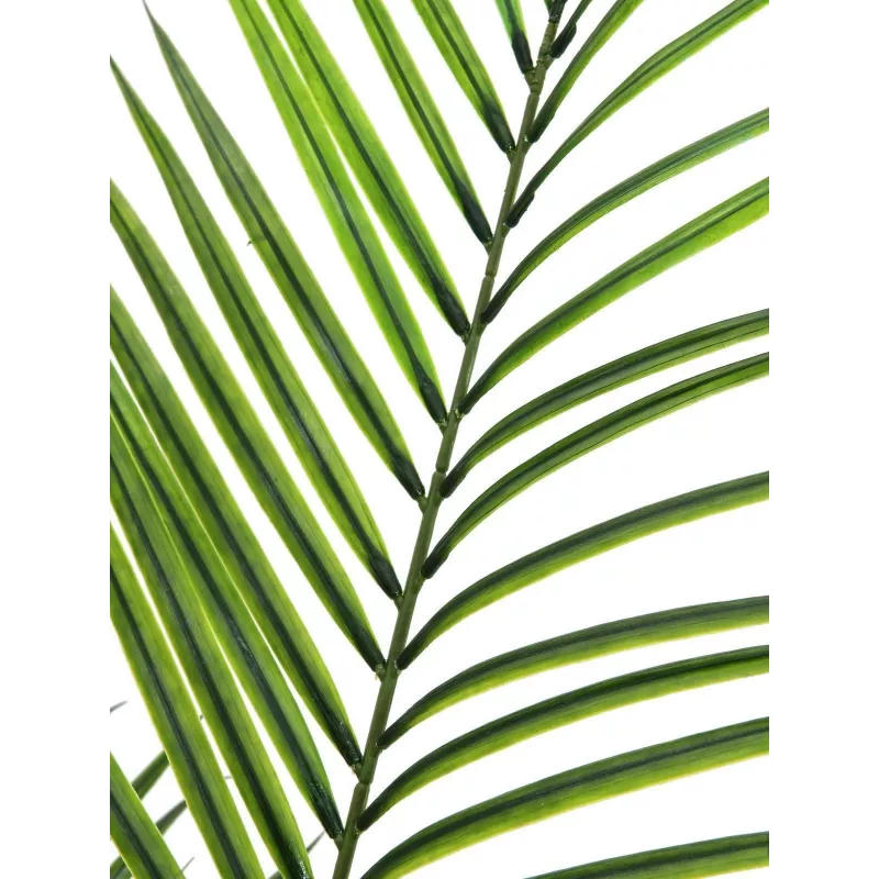 EUROPALMS Planta artificial areca de hoja grande, 165 cm 82509441