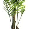 EUROPALMS Planta artificial areca de hoja grande, 165 cm 82509441
