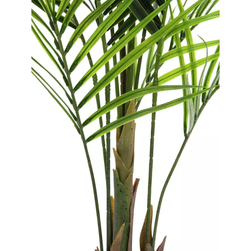 EUROPALMS Planta artificial areca de hoja grande, 165 cm 82509441