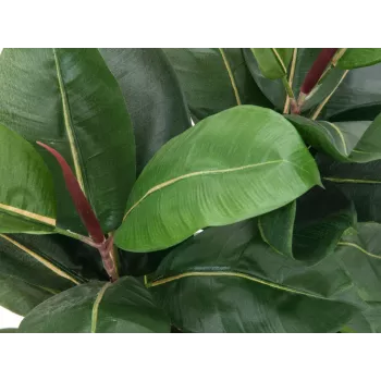 EUROPALMS Planta artificial ficus, 120 cm 82600150
