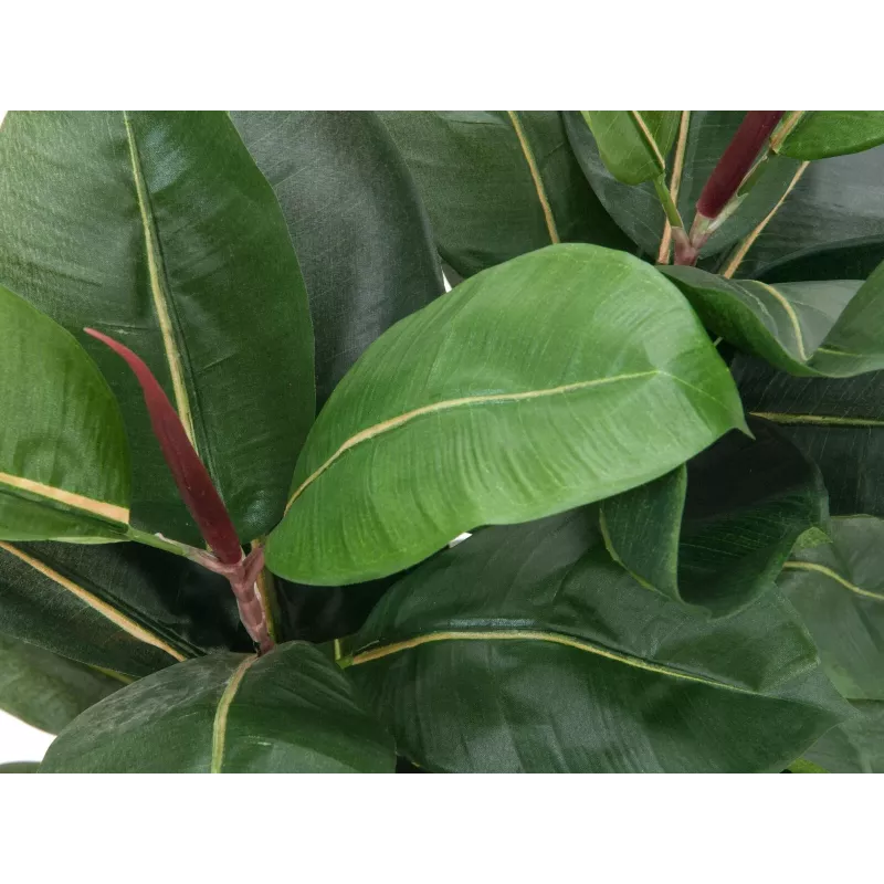 EUROPALMS Planta artificial ficus, 120 cm 82600150