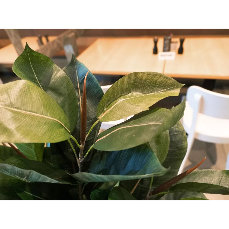 EUROPALMS Planta artificial ficus, 120 cm 82600150