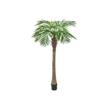 EUROPALMS Palmera fénix Luxor, planta artificial, 240 cm 82510722