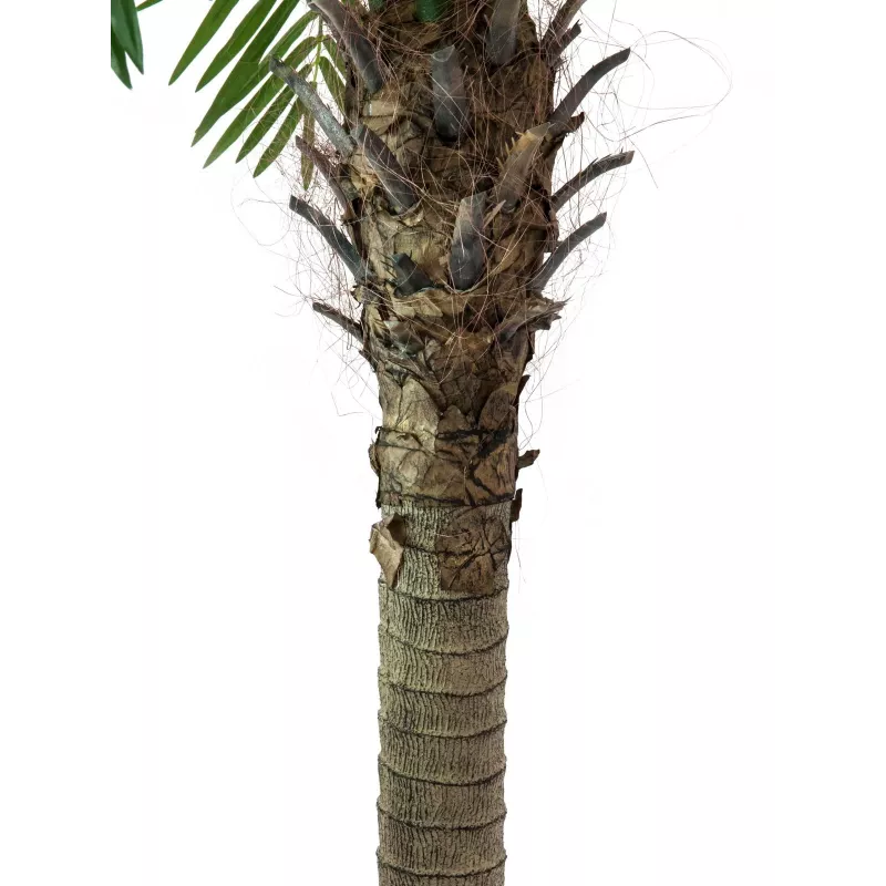 EUROPALMS Palmera fénix Luxor, planta artificial, 240 cm 82510722