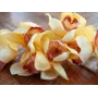 EUROPALMS Rama artificial de cymbidium, amarillo, 90 cm 82530314