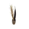 EUROPALMS Ramo de hinojo seco, dorado, 160 cm 83502363