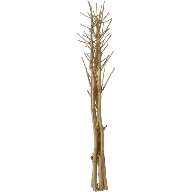 EUROPALMS Ramo de hinojo seco, dorado, 160 cm 83502363