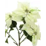 EUROPALMS Arbusto artificial de flor de Pascua, crema, 60 cm 83500433