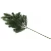 EUROPALMS Rama de abeto, PE, 65 cm 83500420