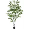EUROPALMS abedul artificial, 210 cm 82505232