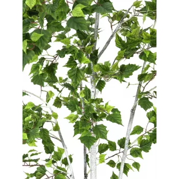 EUROPALMS abedul artificial, 210 cm 82505232