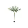 EUROPALMS areca deluxe planta artificial, 180cm 82509443
