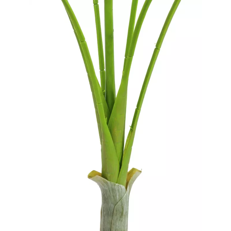 EUROPALMS areca deluxe planta artificial, 180cm 82509443