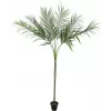 EUROPALMS areca deluxe planta artificial, 180cm 82509443