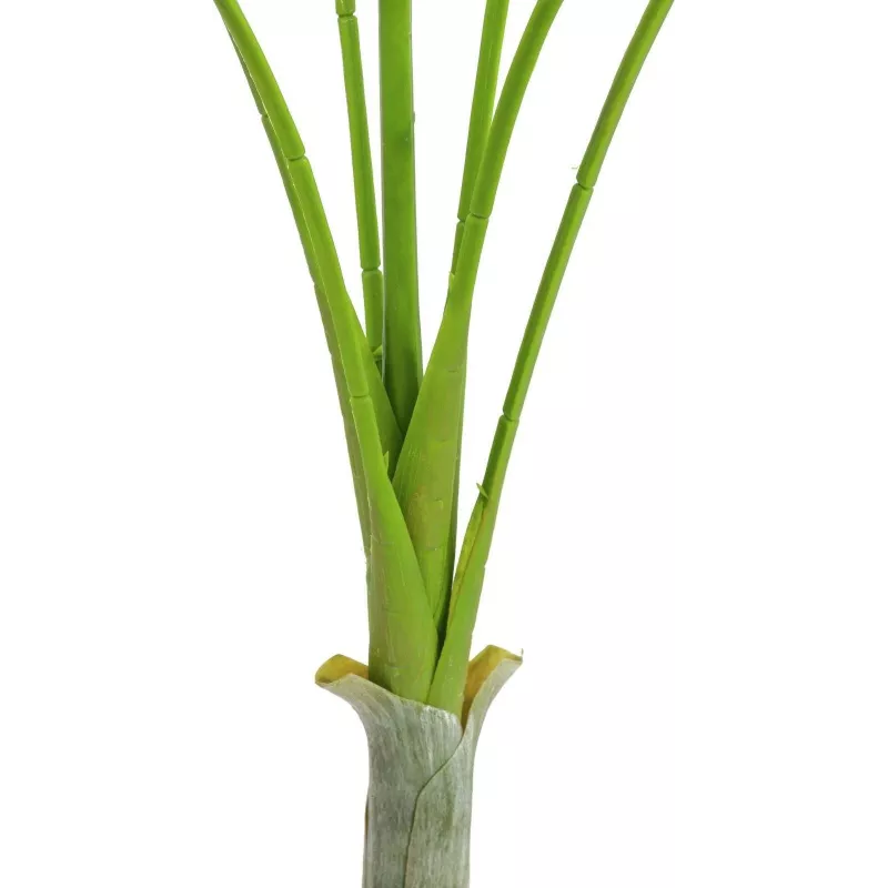 EUROPALMS areca deluxe planta artificial, 180cm 82509443