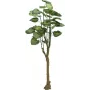EUROPALMS árbol de potos planta artificial 175cm 82600163