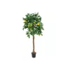 EUROPALMS limonero artificial, 180cm 82507816