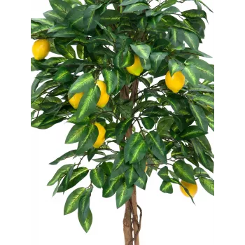 EUROPALMS limonero artificial, 180cm 82507816