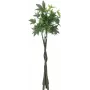 EUROPALMS pachira árbol del dinero artificial, 160cm 82600165